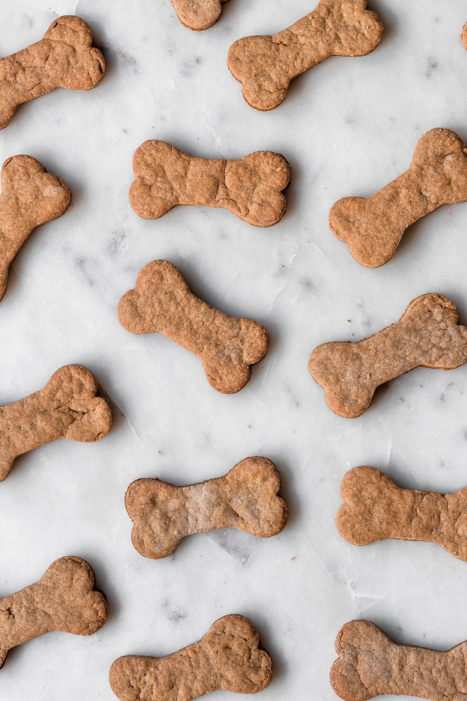 Cookies for a Cookie Exchange | Rows of bone-shaped peanut butter dog cookies on a marble counter.