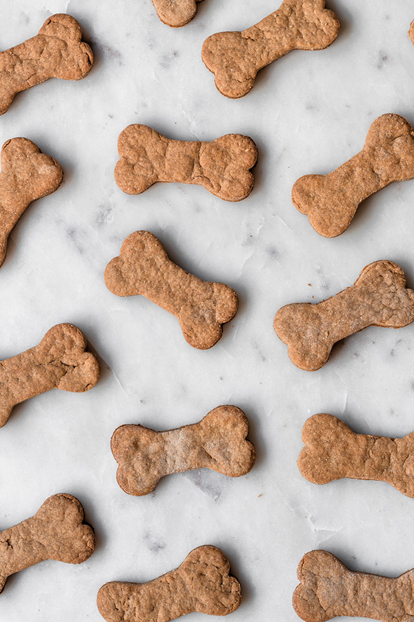 Homemade peanut butter dog cookies | Serendipity by Sara Lynn