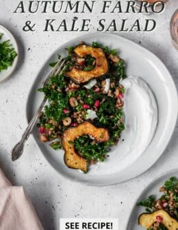 A white plate of kale and farro salad on a white counter next to a pink linen and glasses of wine.