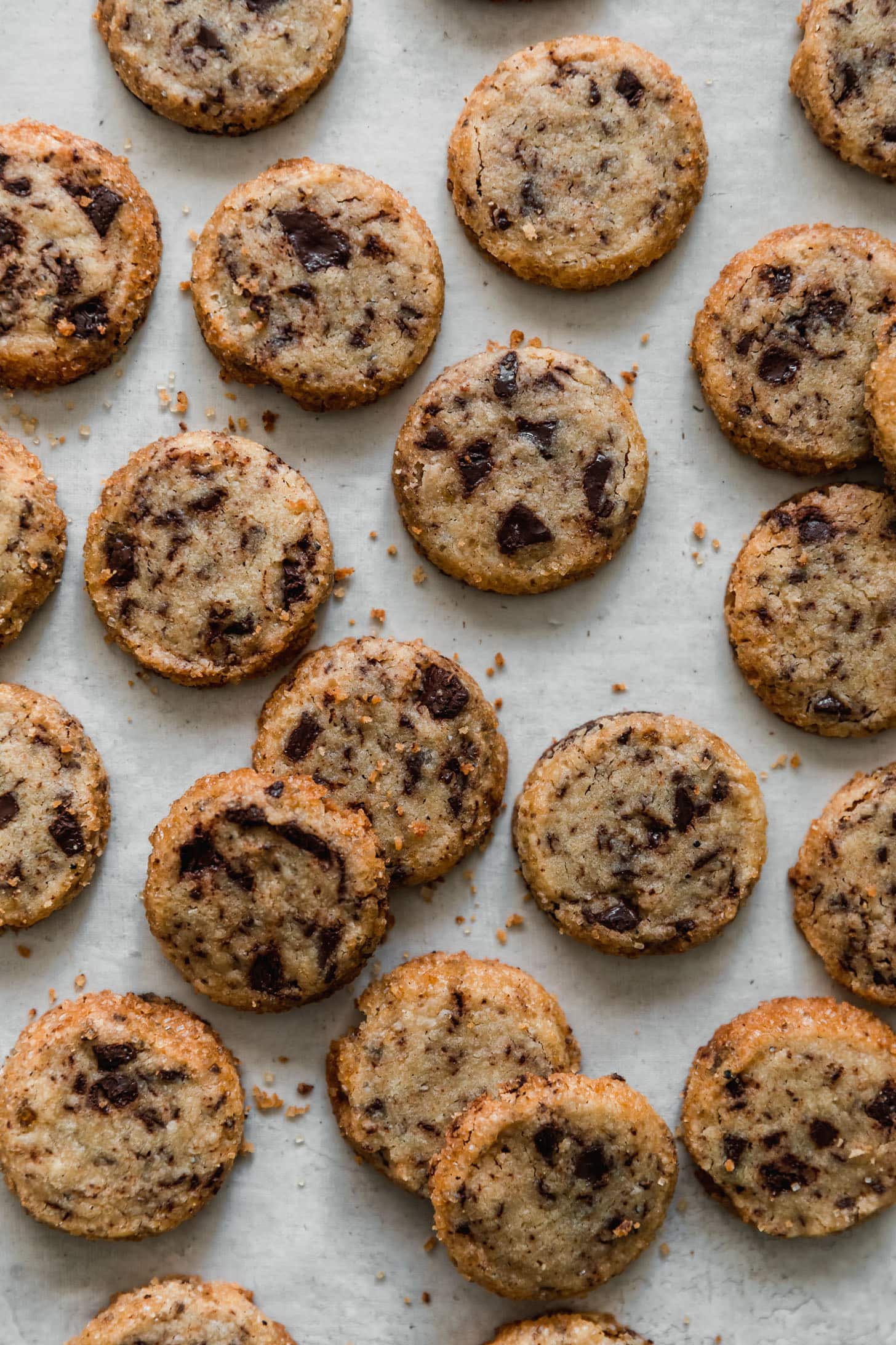 Rows of cardamom chocolate chunk shortbread cookies on a white table.