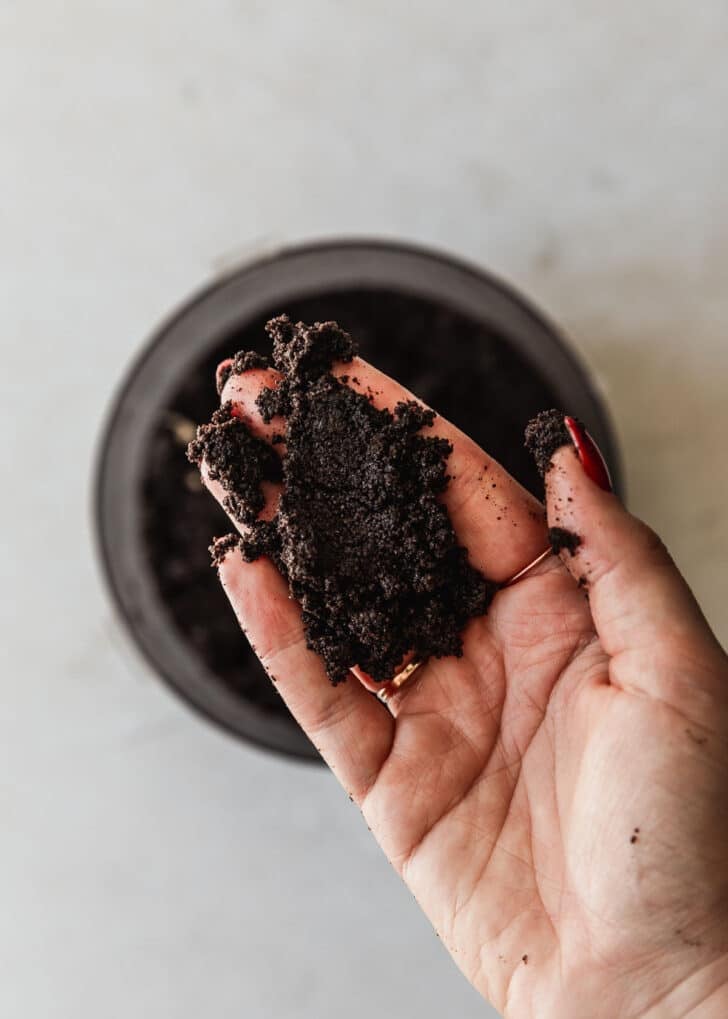 A hand holding chocolate cookie crust over a white counter.