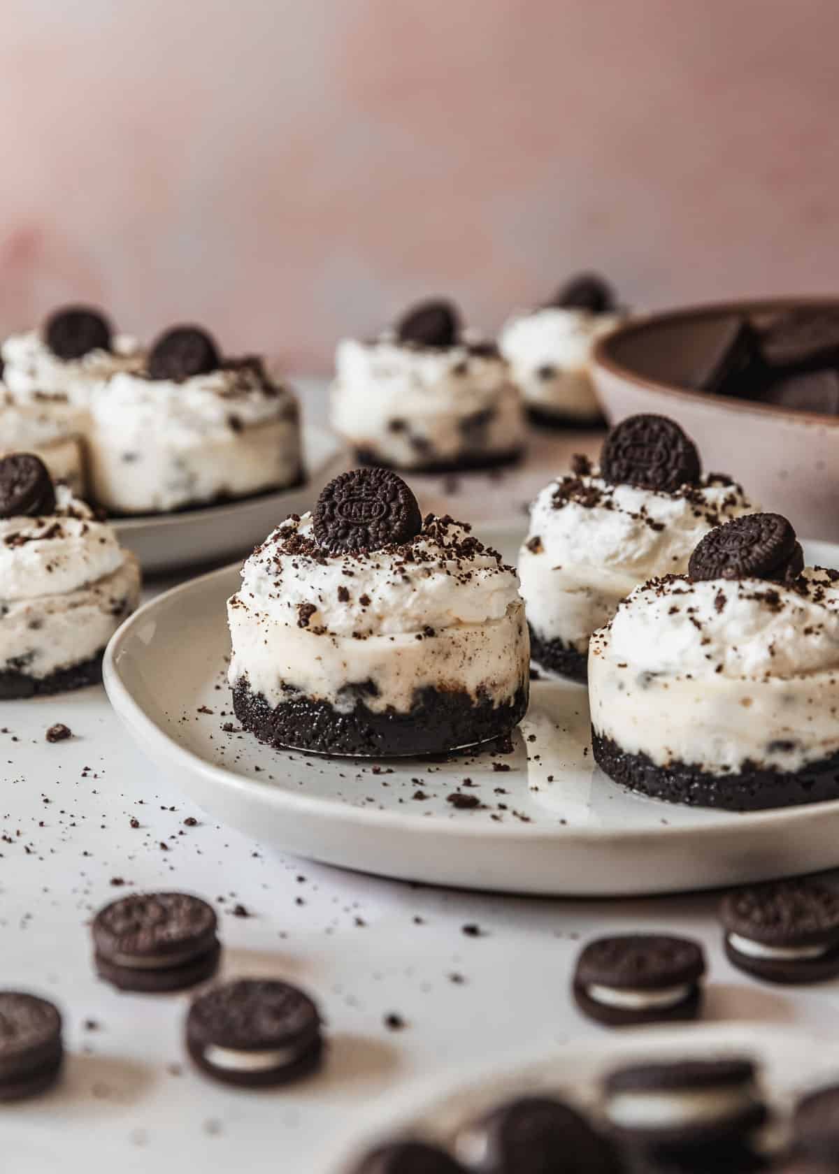 White plates of mini Oreo cheesecakes on a pink backdrop next to mini Oreos and a pink bowl.