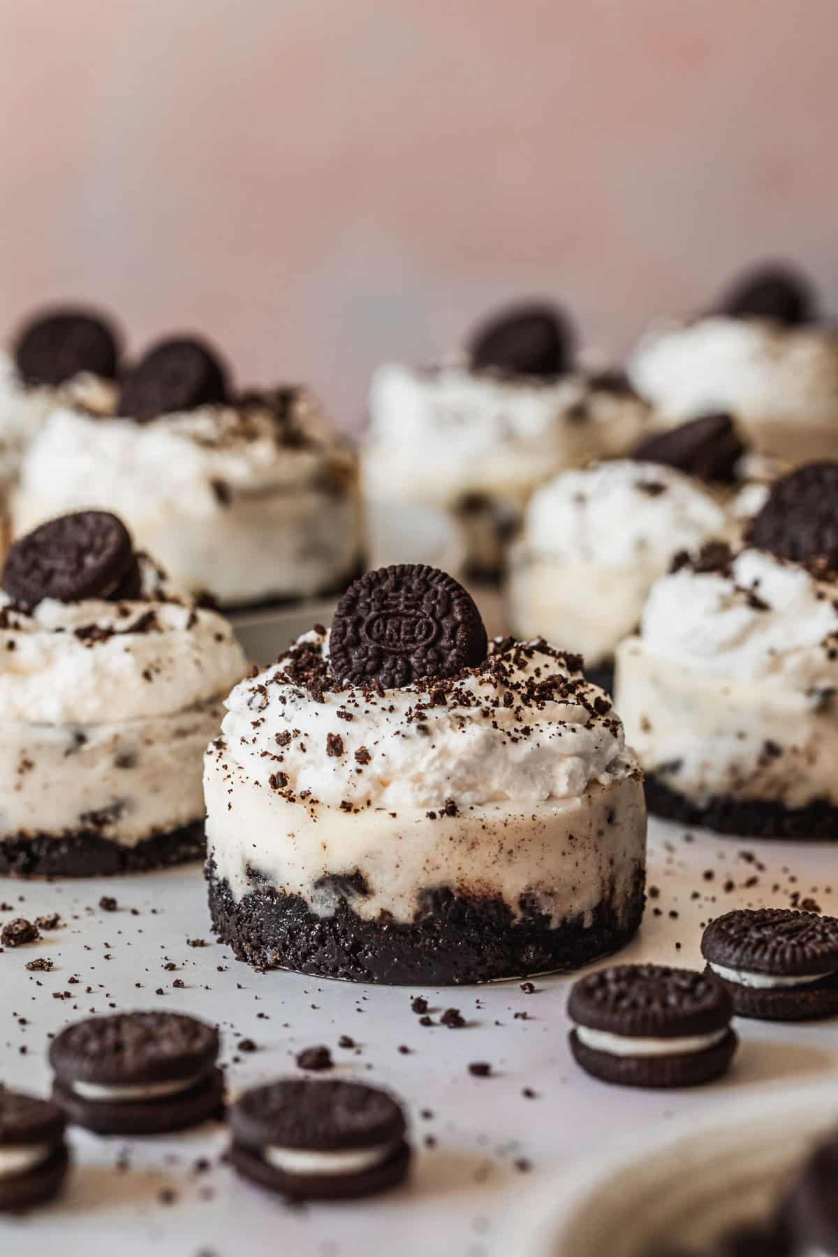 Rows of mini Oreo cheesecakes on a pink backdrop next to mini Oreos.