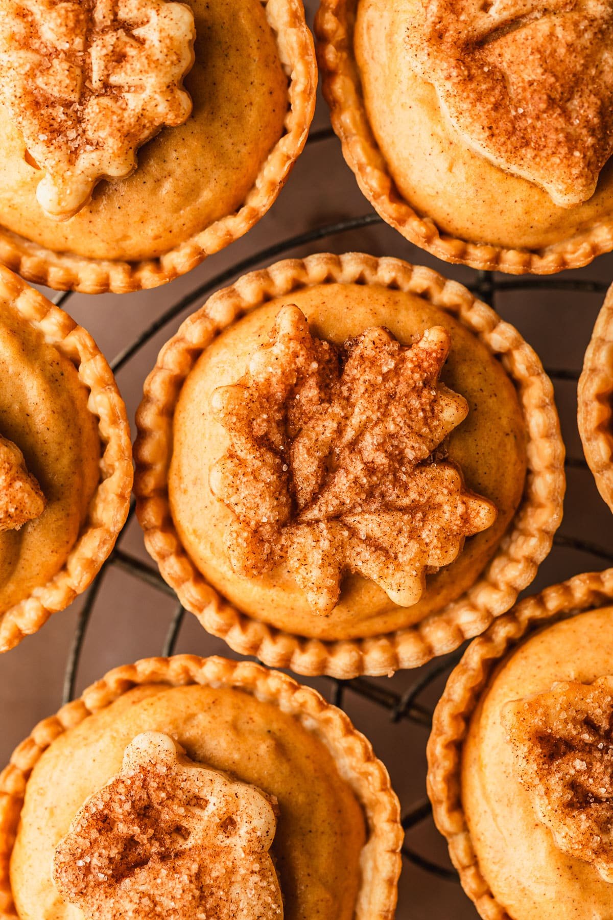 Rows of mini pumpkin cream cheese pies on a wire rack.