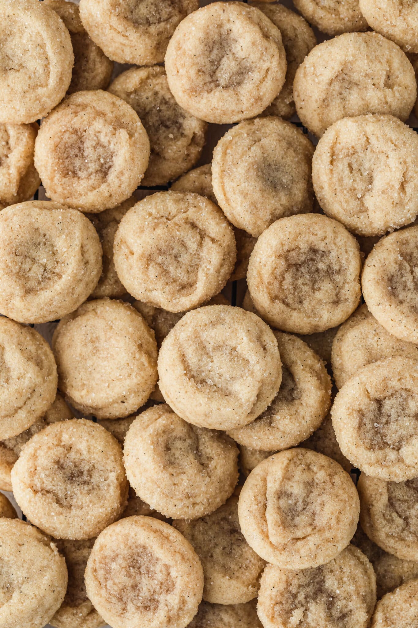 Rows of mini sugar cookies.