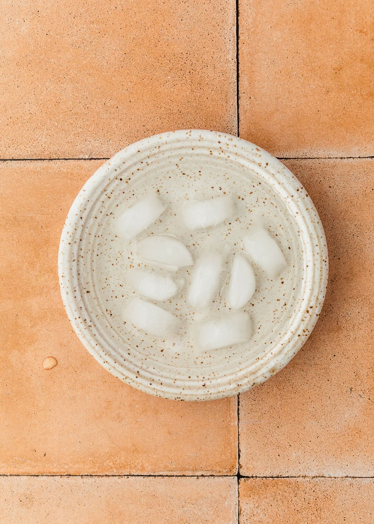 A white bowl of ice water on a terracotta tiled counter.